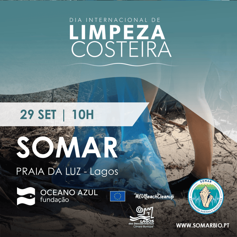 Limpeza Praia da Luz_Post (1)