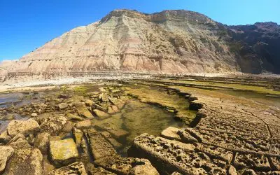 Explorar a Vida Entremarés: Descubram o Nosso Percurso na Praia da Luz