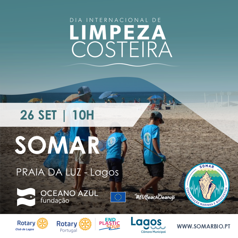 Limpeza Costeira Luz 2026