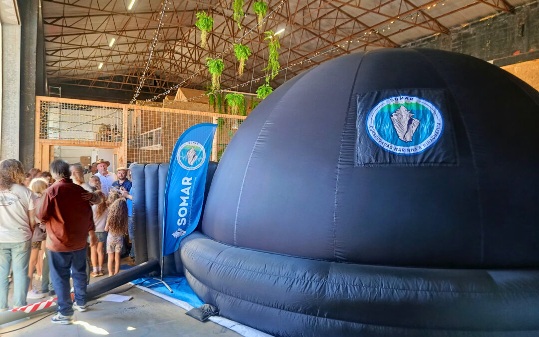 SOMAR estreia Ocean Dome no Vintage Parade
