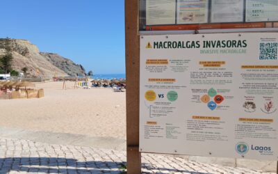 Placa informativa sobre macroalgas invasoras distinguida como boa prática sustentável